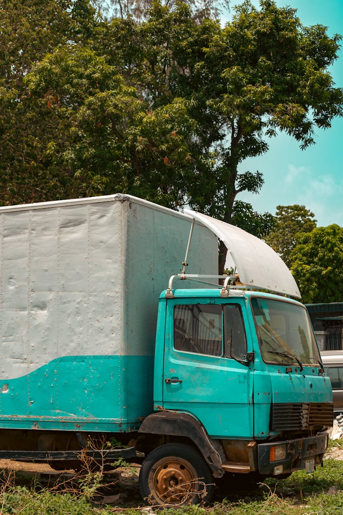Rusty blue and white truck parked amidst trees under a sunny sky.
